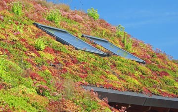Winksley living roof systems