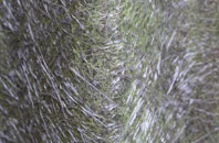 Winksley fibreglass roof work